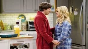 The Big Bang Theory 9. Sezon 16. Bölüm