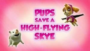 PAW Patrol 5. Sezon 9. Bölüm