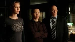 Law & Order: Special Victims Unit 8. Sezon 3. Bölüm