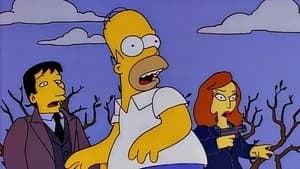 The Simpsons 8. Sezon 10. Bölüm