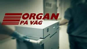 Vetenskapens värld 45. Sezon 26. Bölüm