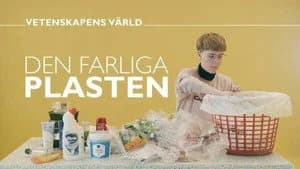 Vetenskapens värld 47. Sezon 37. Bölüm