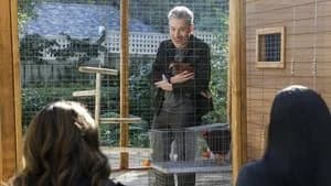 CSI: Vegas 3. Sezon 6. Bölüm