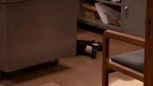Parks and Recreation 3. Sezon 13. Bölüm