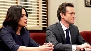 Law & Order 22. Sezon 19. Bölüm