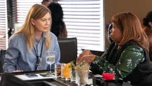 Grey's Anatomy 22. Sezon 17. Bölüm