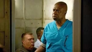 Brooklyn Nine-Nine 3. Sezon 23. Bölüm