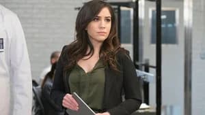 Blindspot 4. Sezon 14. Bölüm