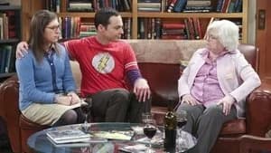 The Big Bang Theory 9. Sezon 14. Bölüm