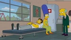 The Simpsons 33. Sezon 11. Bölüm