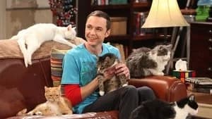 The Big Bang Theory 4. Sezon 3. Bölüm