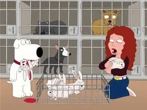Family Guy 7. Sezon 1. Bölüm