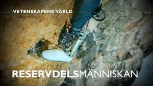 Vetenskapens värld 49. Sezon 2. Bölüm