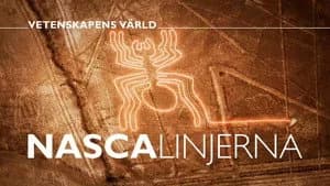 Vetenskapens värld 49. Sezon 15. Bölüm