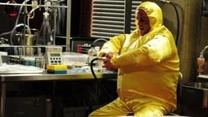 Breaking Bad 3. Sezon 8. Bölüm