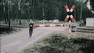 Polizeiruf 110 12. Sezon 1. Bölüm