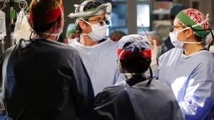 Grey's Anatomy 8. Sezon 11. Bölüm