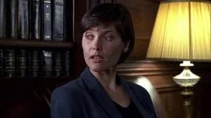Law & Order 8. Sezon 24. Bölüm