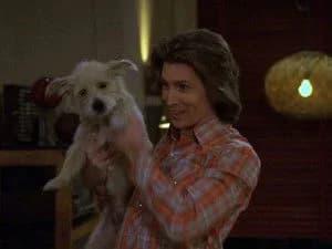 That '70s Show 8. Sezon 20. Bölüm
