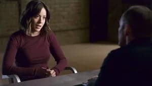Marvel's Agents of S.H.I.E.L.D. 3. Sezon 9. Bölüm