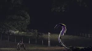 仮面ライダー 12. Sezon 32. Bölüm