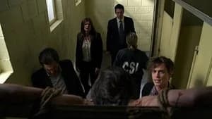 Criminal Minds 9. Sezon 19. Bölüm