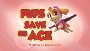 PAW Patrol 2. Sezon 12. Bölüm