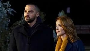 Grey's Anatomy 13. Sezon 16. Bölüm