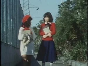 仮面ライダー 4. Sezon 9. Bölüm