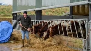 Clarkson's Farm 4. Sezon 1. Bölüm