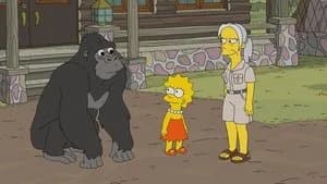 The Simpsons 31. Sezon 5. Bölüm