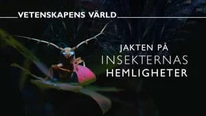 Vetenskapens värld 52. Sezon 8. Bölüm