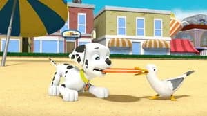 PAW Patrol 3. Sezon 41. Bölüm