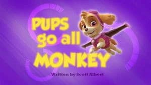 PAW Patrol 1. Sezon 35. Bölüm