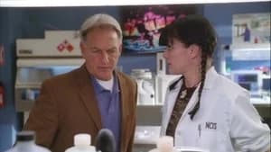 NCIS 6. Sezon 20. Bölüm