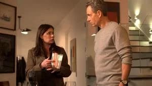 Law & Order 24. Sezon 15. Bölüm