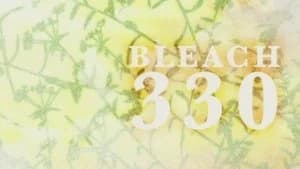 Bleach 1. Sezon 330. Bölüm