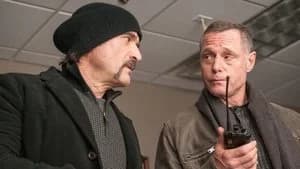 Chicago P.D. 2. Sezon 17. Bölüm