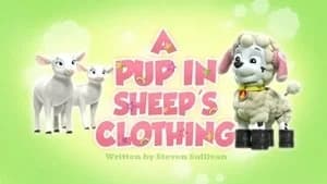 PAW Patrol 3. Sezon 20. Bölüm