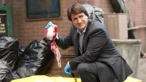 Brooklyn Nine-Nine 4. Sezon 14. Bölüm