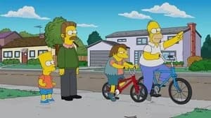 The Simpsons 31. Sezon 16. Bölüm
