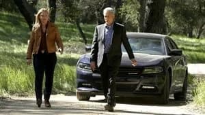 NCIS 14. Sezon 22. Bölüm