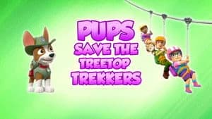 PAW Patrol 8. Sezon 25. Bölüm