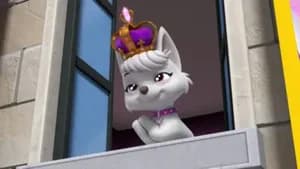PAW Patrol 10. Sezon 18. Bölüm