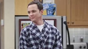 The Big Bang Theory 9. Sezon 13. Bölüm