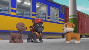 PAW Patrol 10. Sezon 7. Bölüm