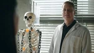 Resident Alien 2. Sezon 12. Bölüm