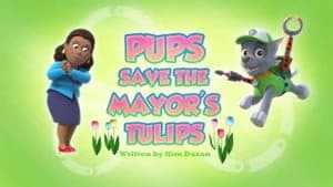 PAW Patrol 3. Sezon 35. Bölüm