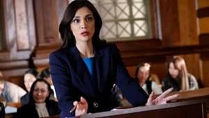 Law & Order 24. Sezon 10. Bölüm
