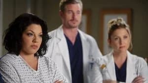 Grey's Anatomy 7. Sezon 13. Bölüm
